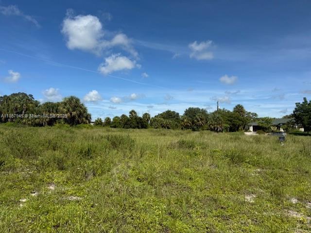 1017 Comet AVE, La Belle FL 33935 photo 3