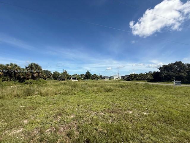 1017 Comet AVE, La Belle FL 33935 photo 5