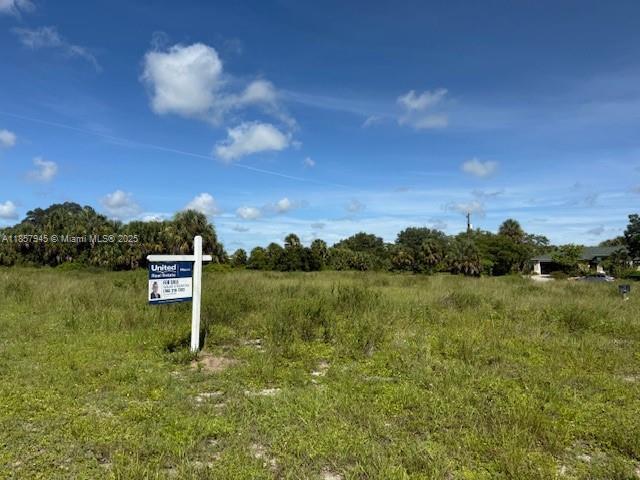 1017 Comet AVE, La Belle FL 33935 photo 4