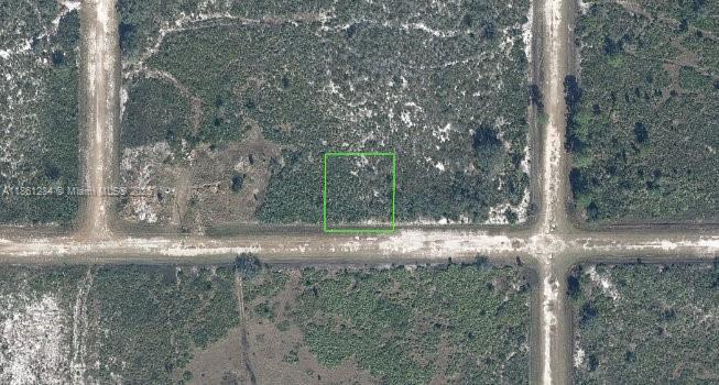2222 favre rd, Avon Park FL 33825