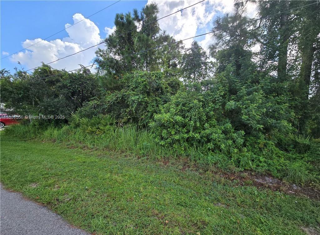 412 Volvo Ave, Sebring FL 33872 photo 3