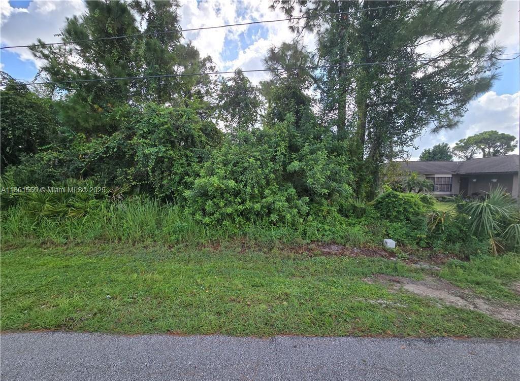 412 Volvo Ave, Sebring FL 33872 photo 4