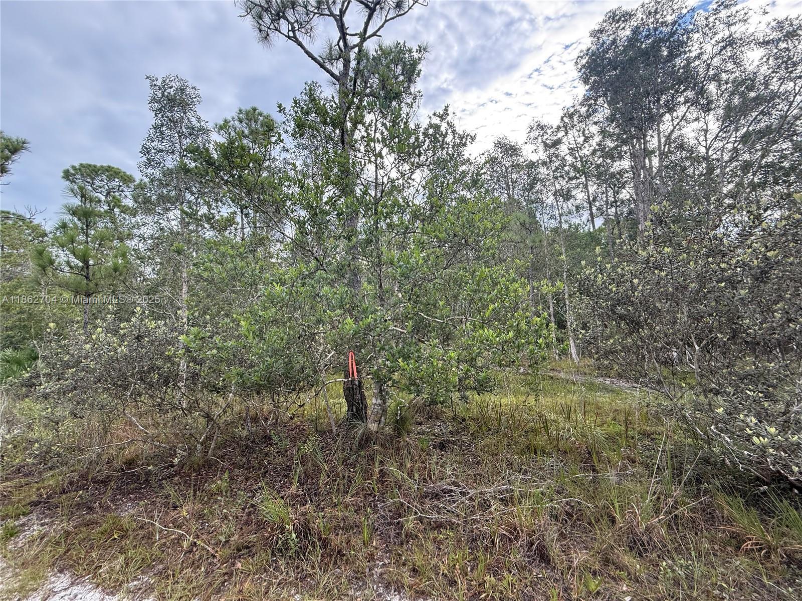 0000 UNASSIGNED, Hobe Sound FL 33455 photo 5
