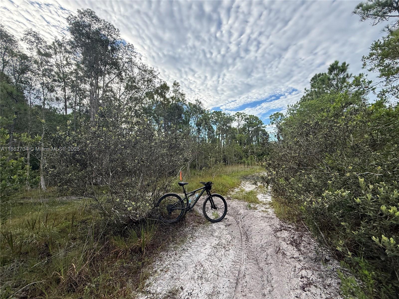 0000 UNASSIGNED, Hobe Sound FL 33455 photo 4