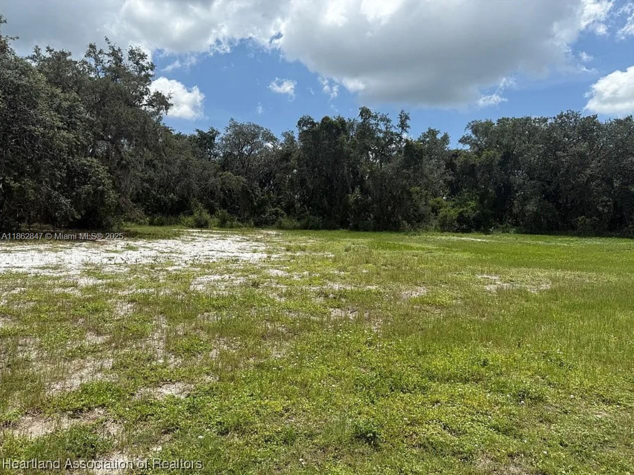 5052 LAKE REGENCY DR, Sebring FL 33875 photo 4