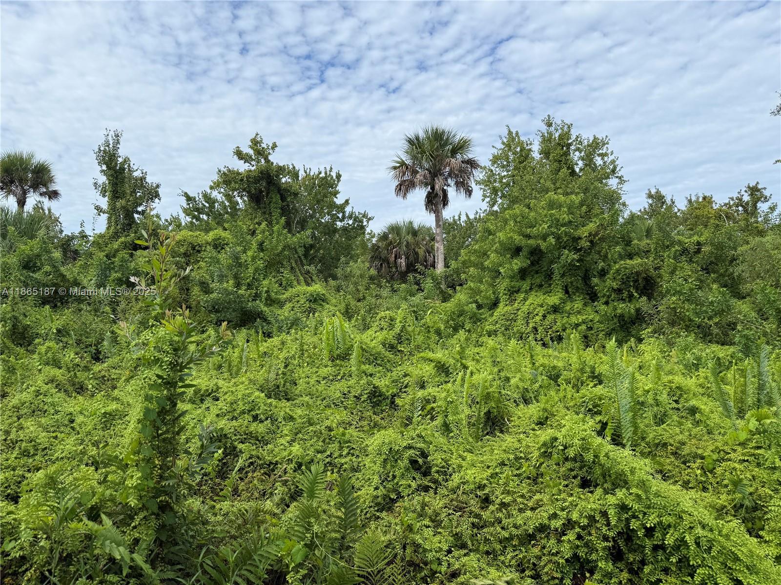 0000 UNASSIGNED, Hobe Sound FL 33455 photo 3