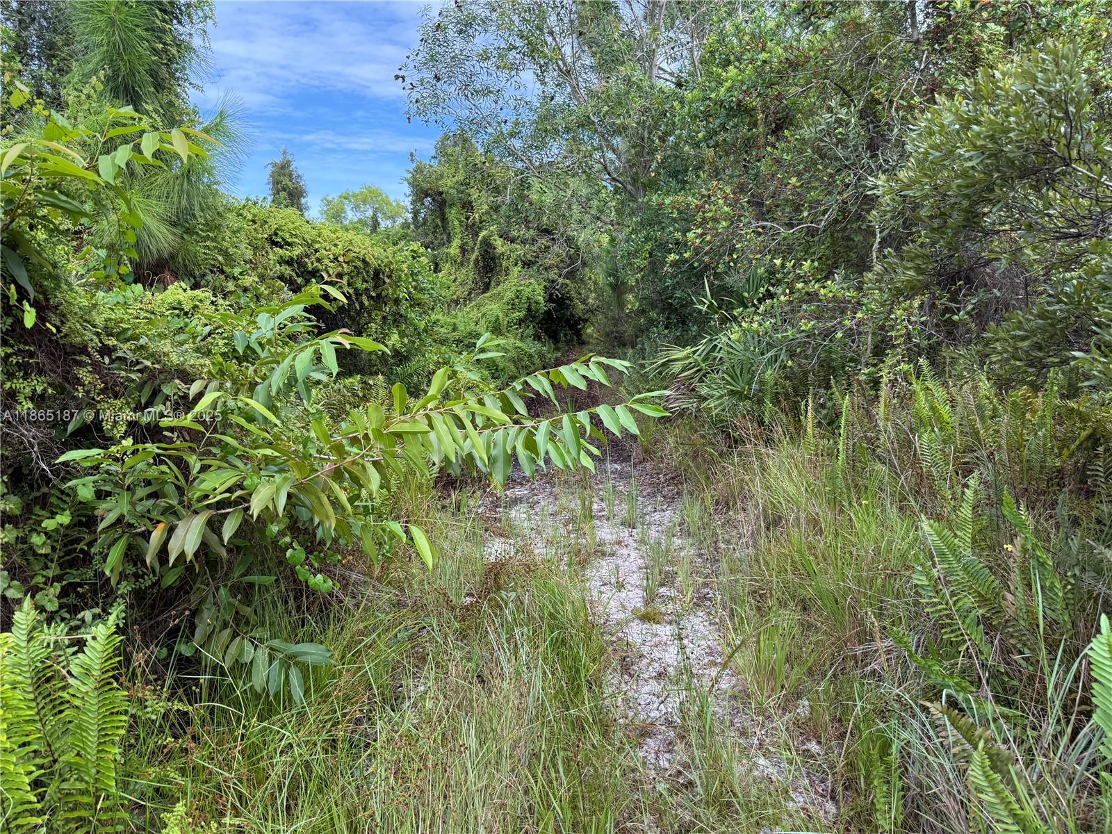 0000 UNASSIGNED, Hobe Sound FL 33455 photo 5