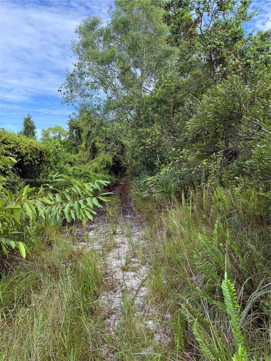 0000 UNASSIGNED, Hobe Sound FL 33455 photo 4