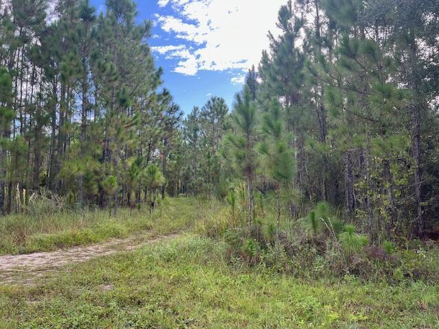 1135 Greenfield Street, Lake Placid FL 33852 photo 2
