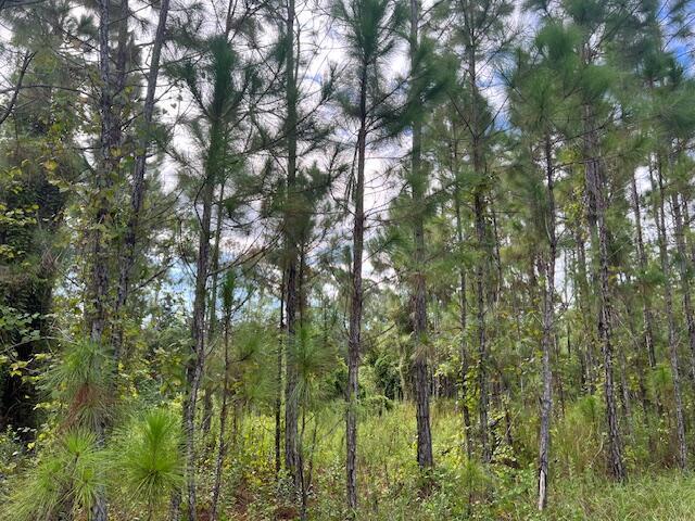 1135 Greenfield Street, Lake Placid FL 33852 photo 3