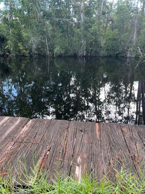 1135 Greenfield Street, Lake Placid FL 33852 photo 4
