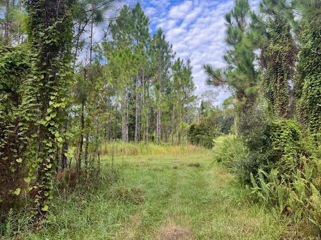 1137 Greenfield Street, Lake Placid FL 33852 photo 2