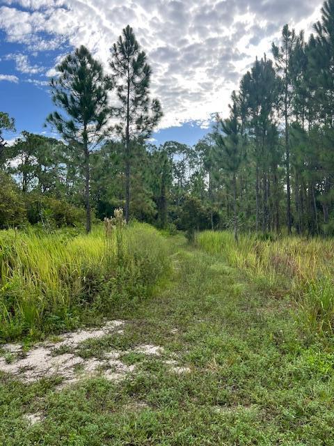 1137 Greenfield Street, Lake Placid FL 33852 photo 5