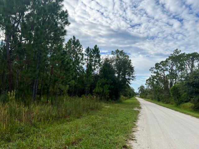 1137 Greenfield Street, Lake Placid FL 33852 photo 4
