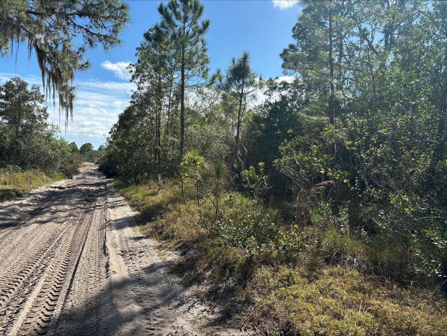 0 Jackson Street, Lake Wales FL 33898 photo 2