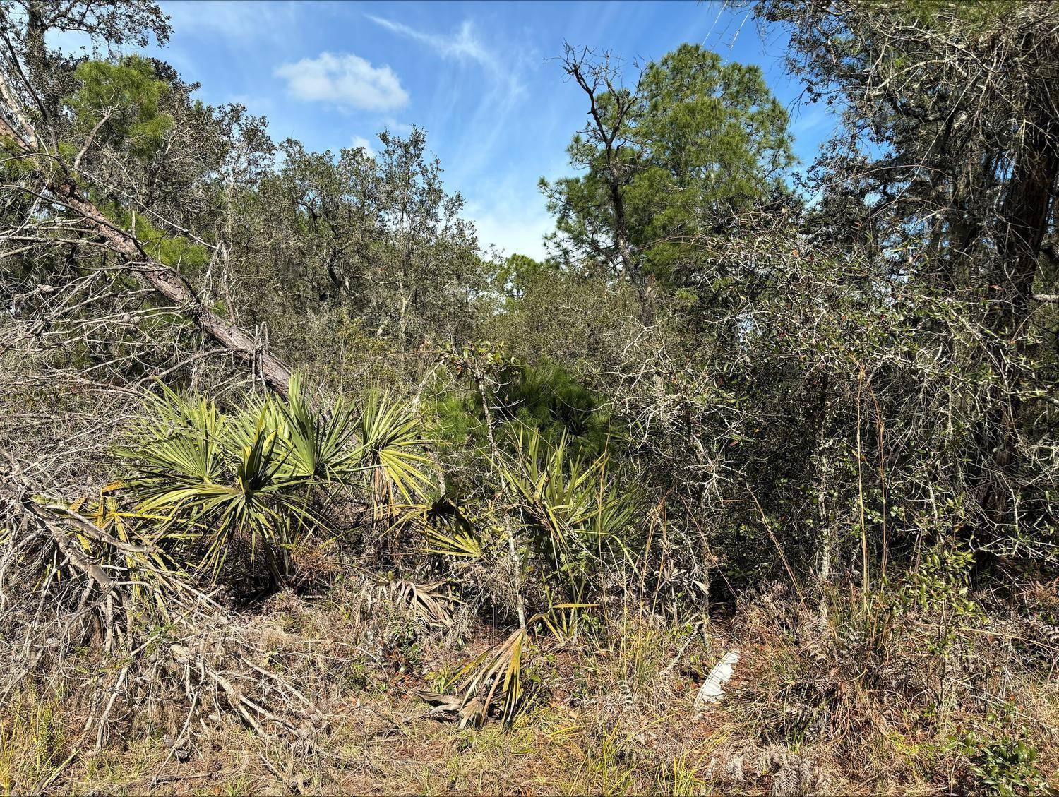 0 Jackson Street, Lake Wales FL 33898