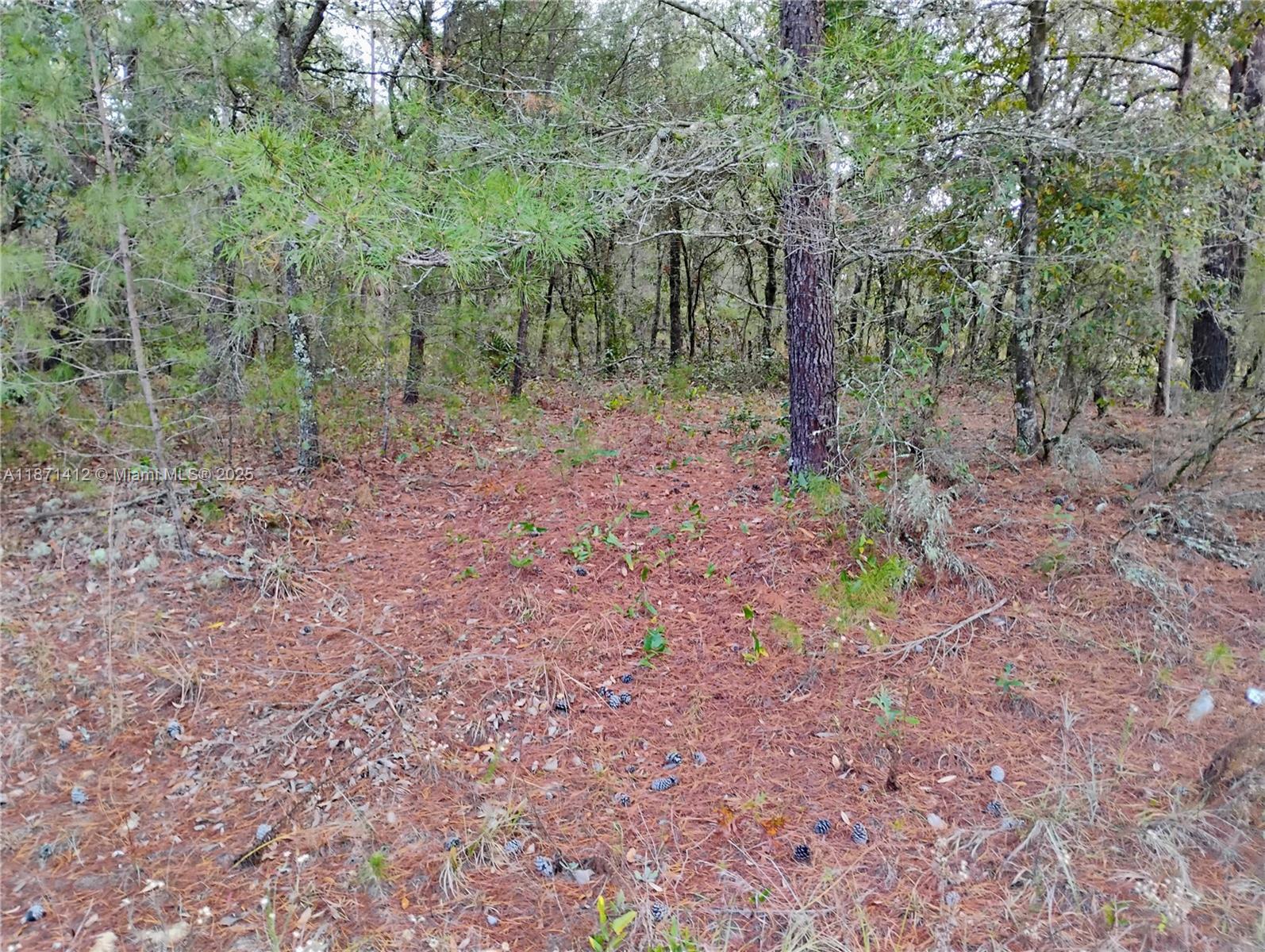 302 Kennedy, Palatka FL 32148