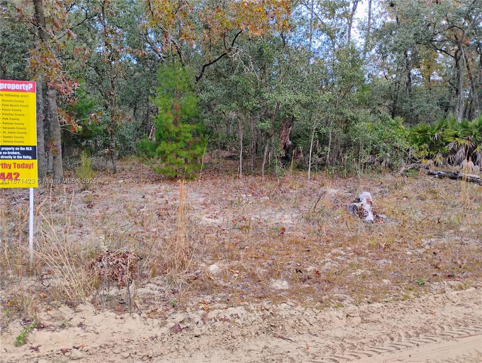 244 Thompson, Palatka FL 32148