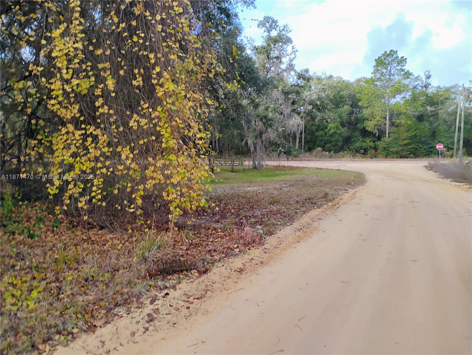 103 Antler, Palatka FL 32148 photo 2