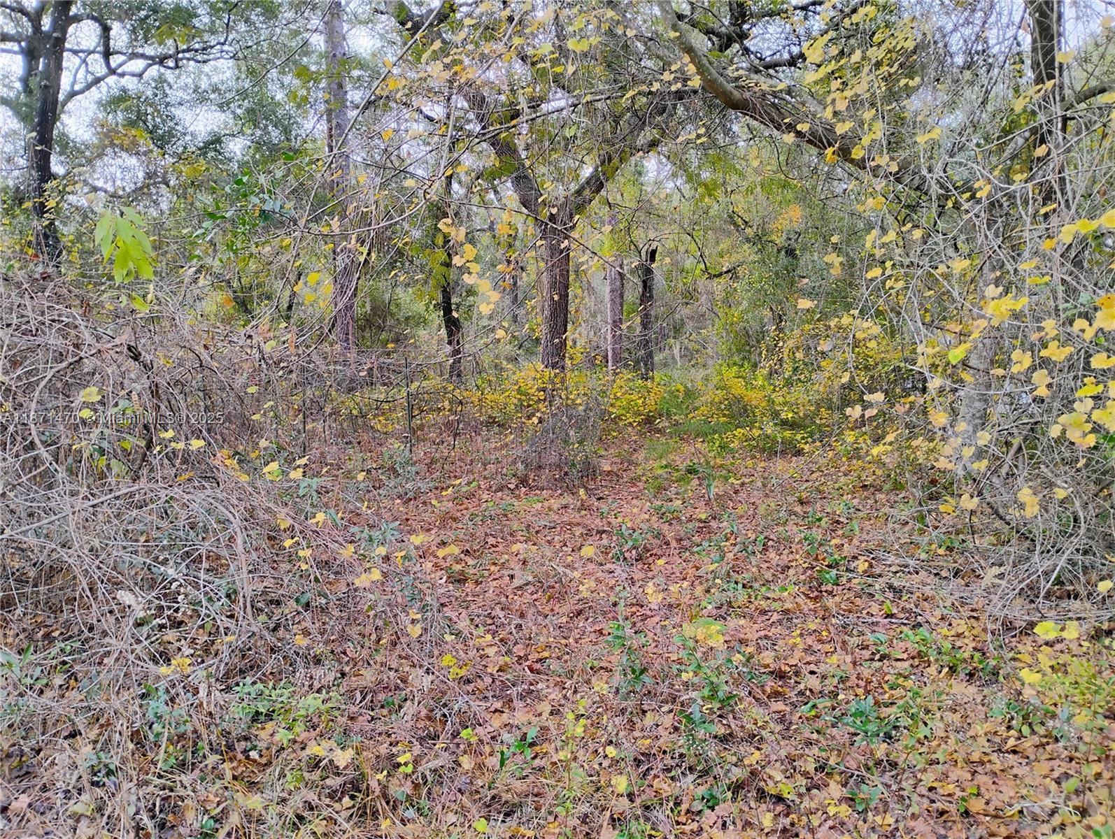 103 Antler, Palatka FL 32148 photo 3