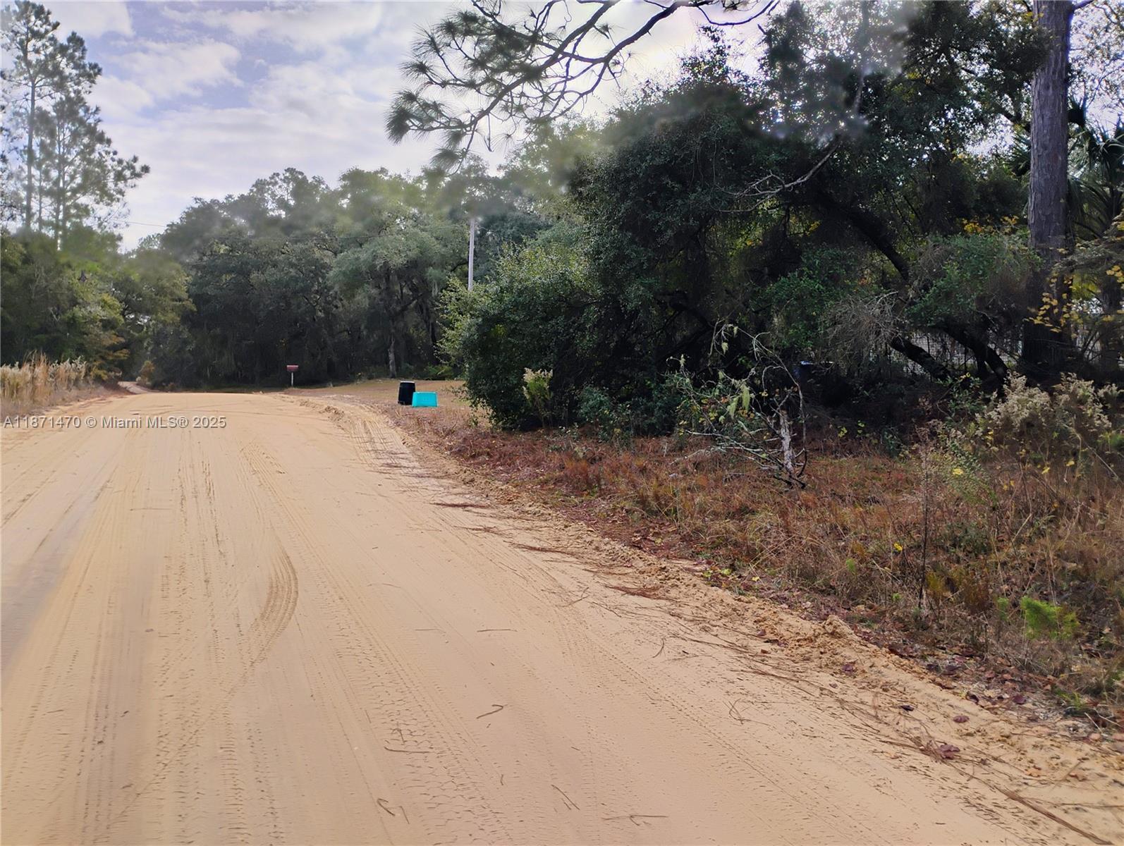 103 Antler, Palatka FL 32148