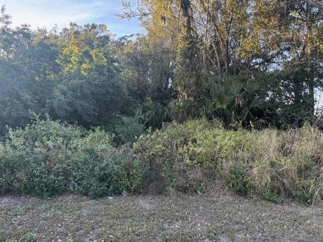 0 NE 13th Avenue, Okeechobee FL 34972 photo 2