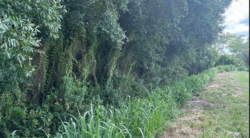 0 NE 13th Avenue, Okeechobee FL 34972