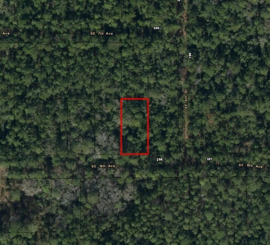 224 SE 8th Avenue, Palatka FL 32177 photo 3