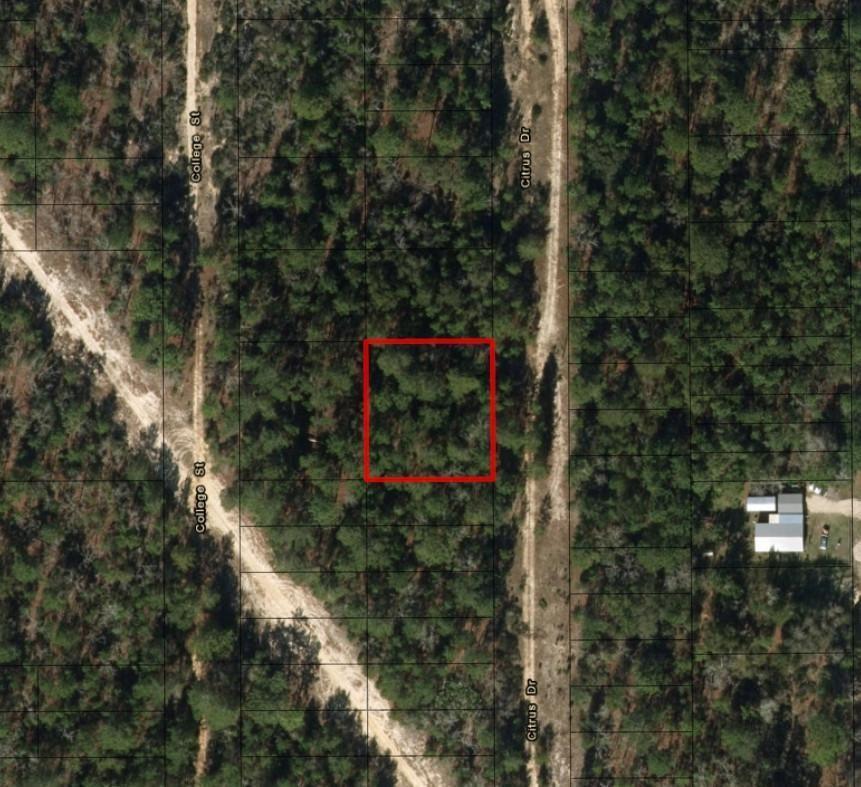 0 Citrus Street, FL 32148 photo 2