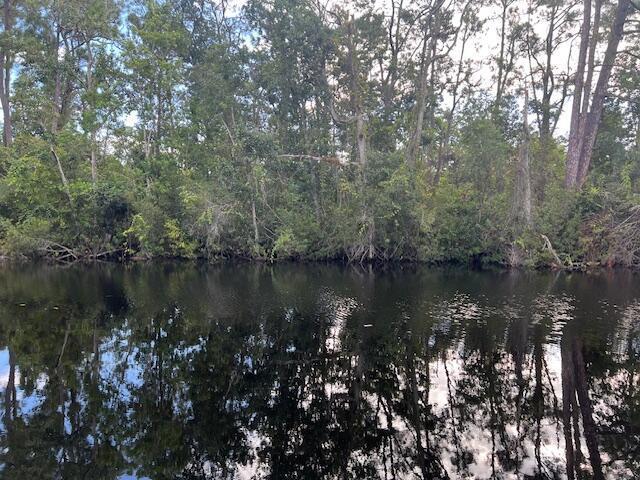1131 Greenfield Street, Lake Placid FL 33852 photo 2