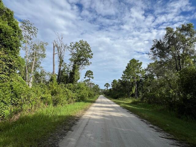1131 Greenfield Street, Lake Placid FL 33852 photo 4
