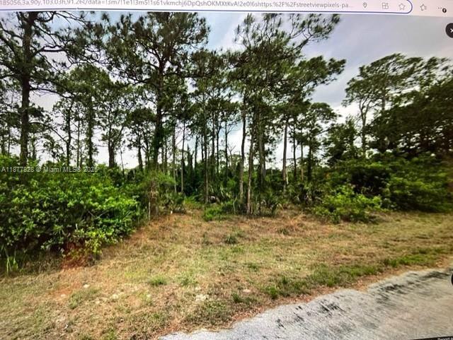 1710 Lake ave, Lehigh Acres FL 33972 photo 2