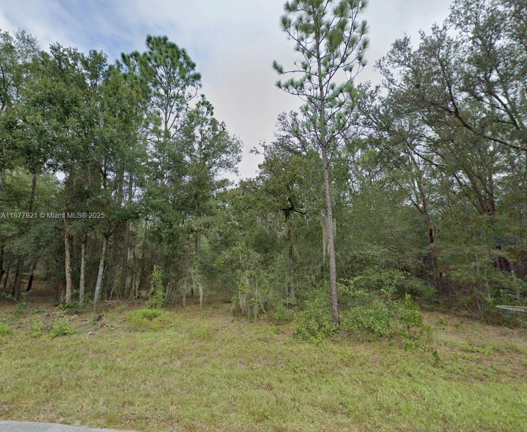 Lot 2 NE 1st Street, Williston FL 32696 photo 2