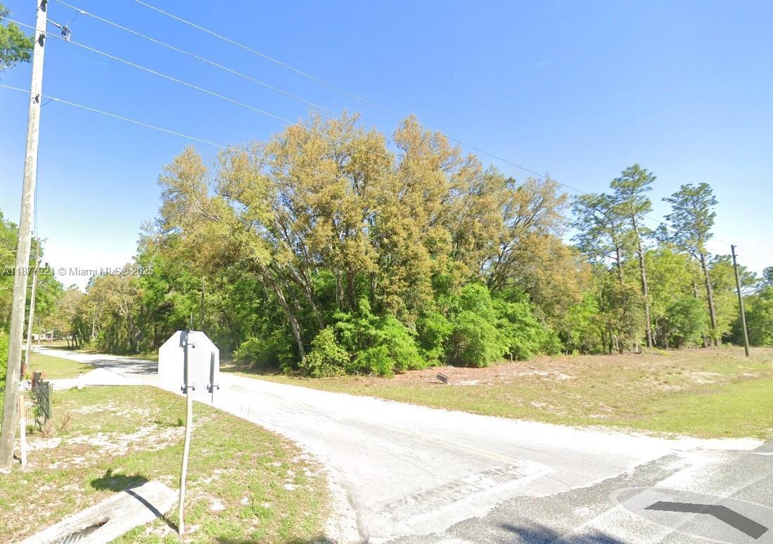 Lot 2 NE 1st Street, Williston FL 32696