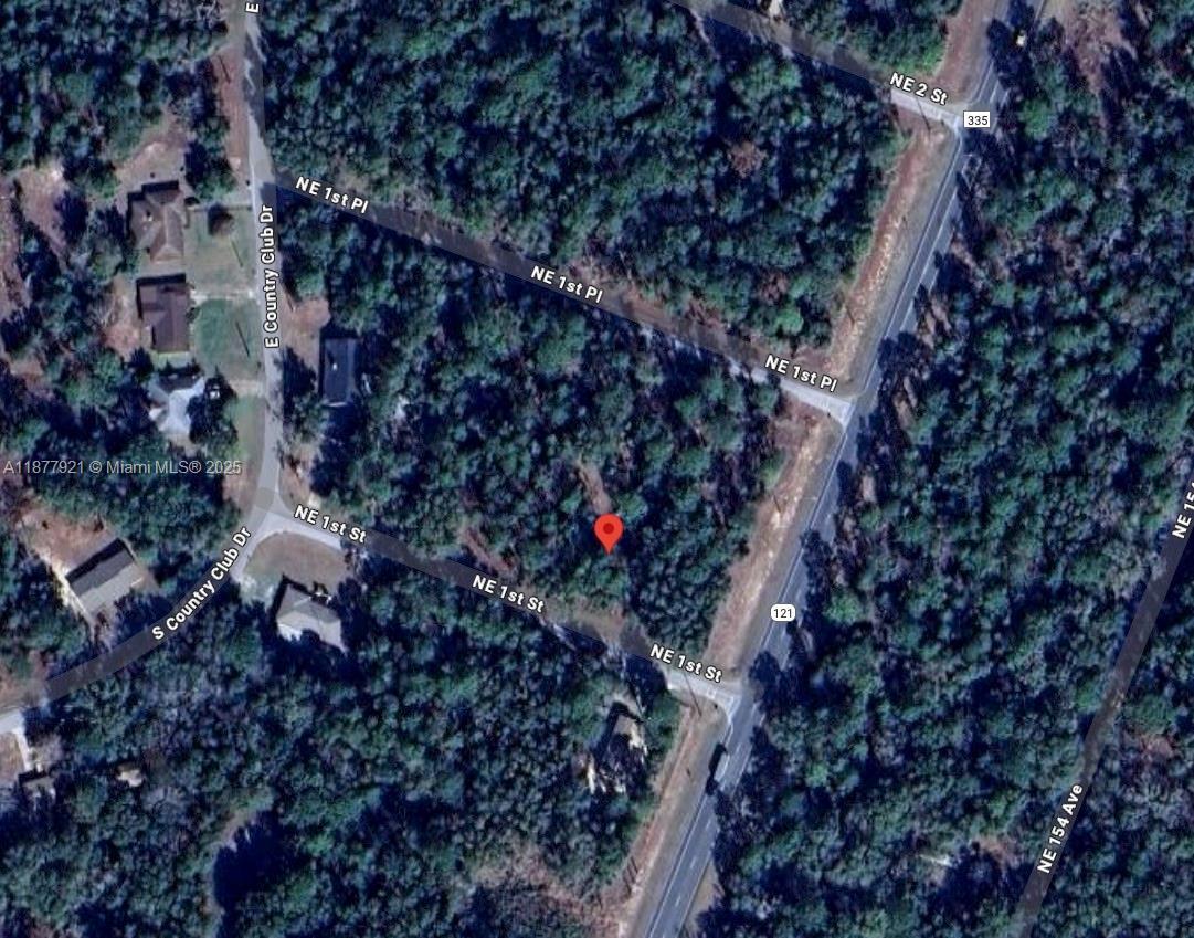 Lot 2 NE 1st Street, Williston FL 32696 photo 5