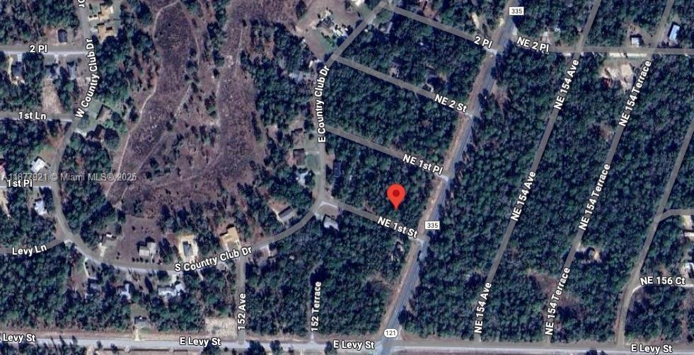 Lot 2 NE 1st Street, Williston FL 32696 photo 4