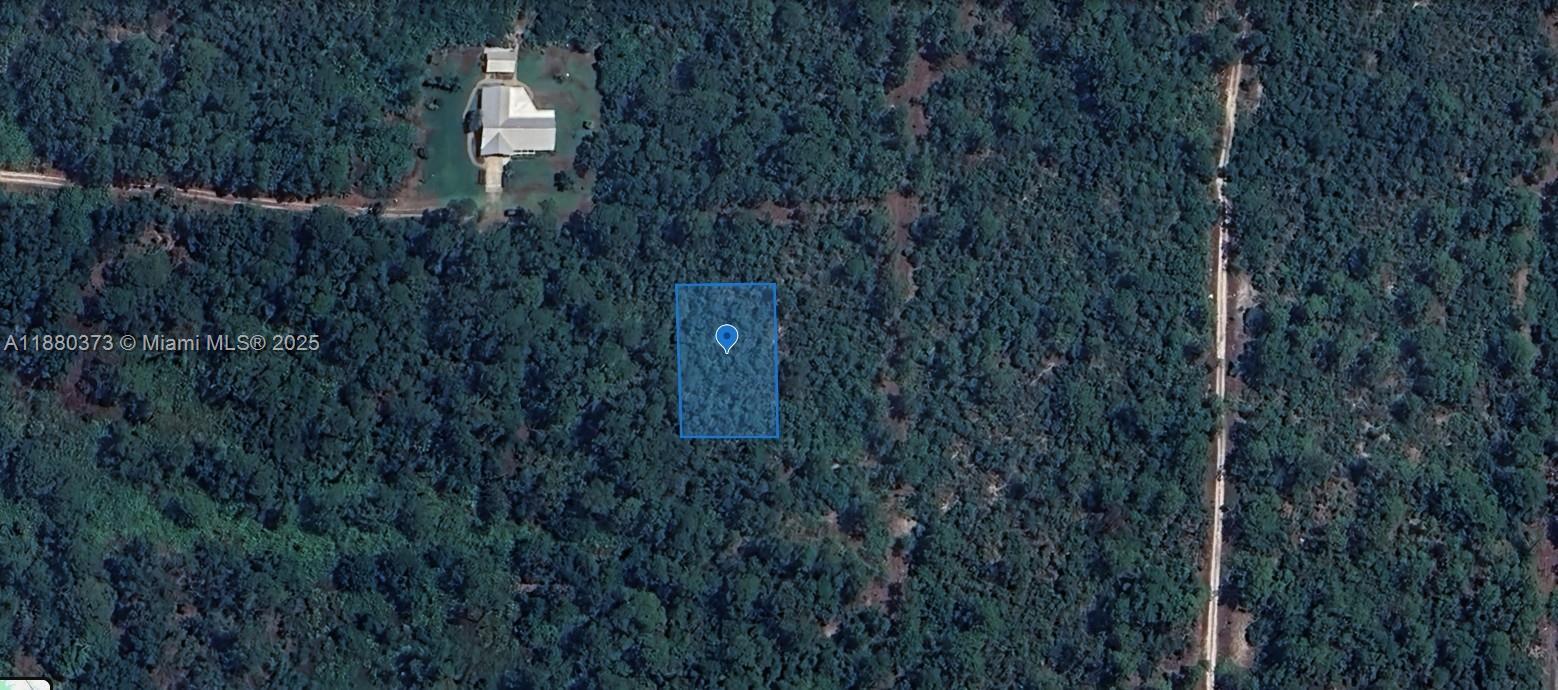 233 + 232 Caswell + Colleen Lane, Lake Placid FL 33852 photo 4