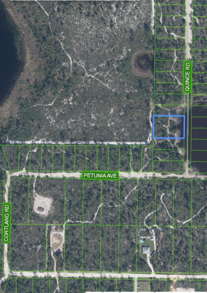 5915 Quince Road, Sebring FL 33875 photo 5