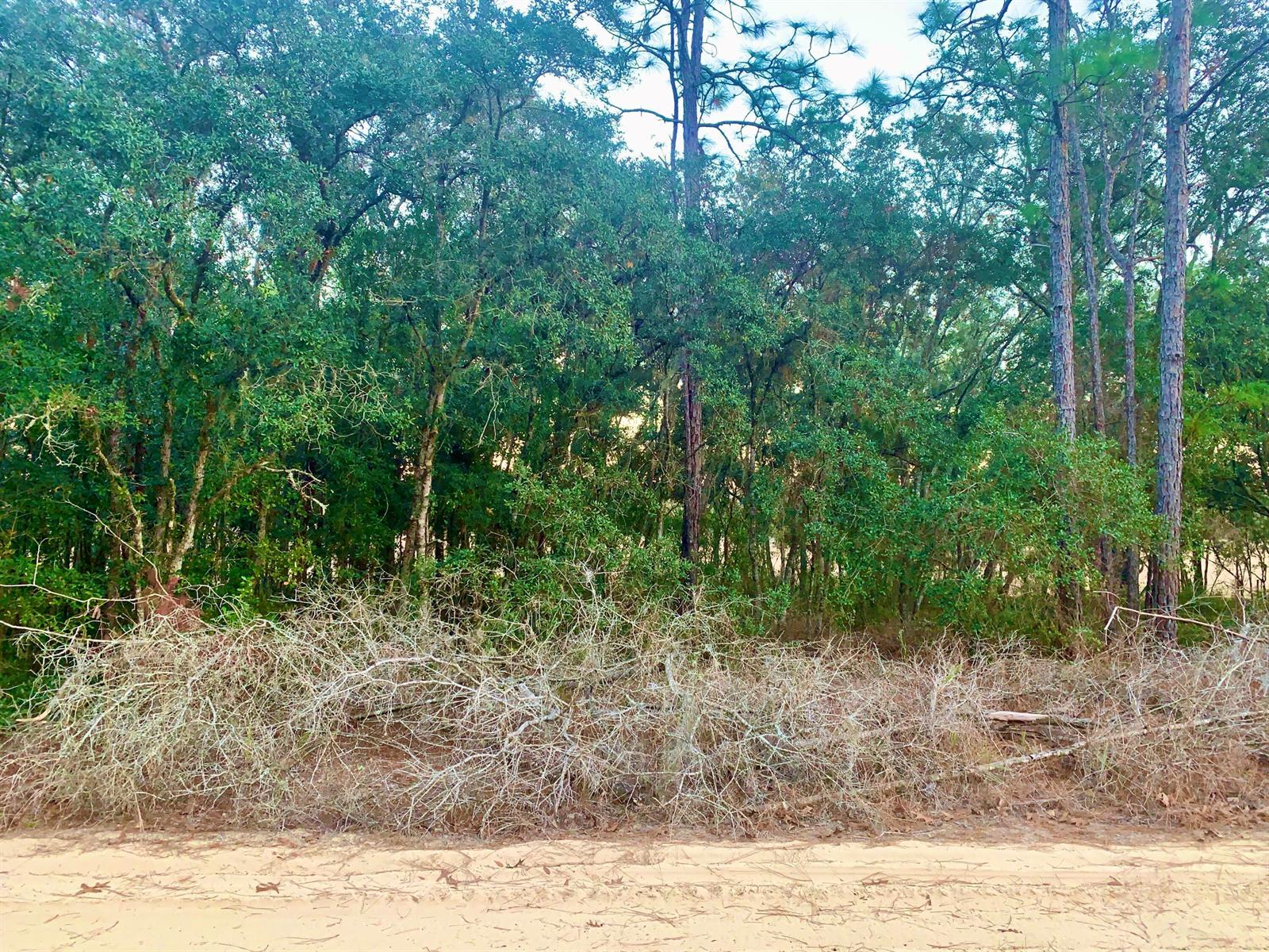 301 S Crestview Avenue, Inverness FL 34452 photo 2