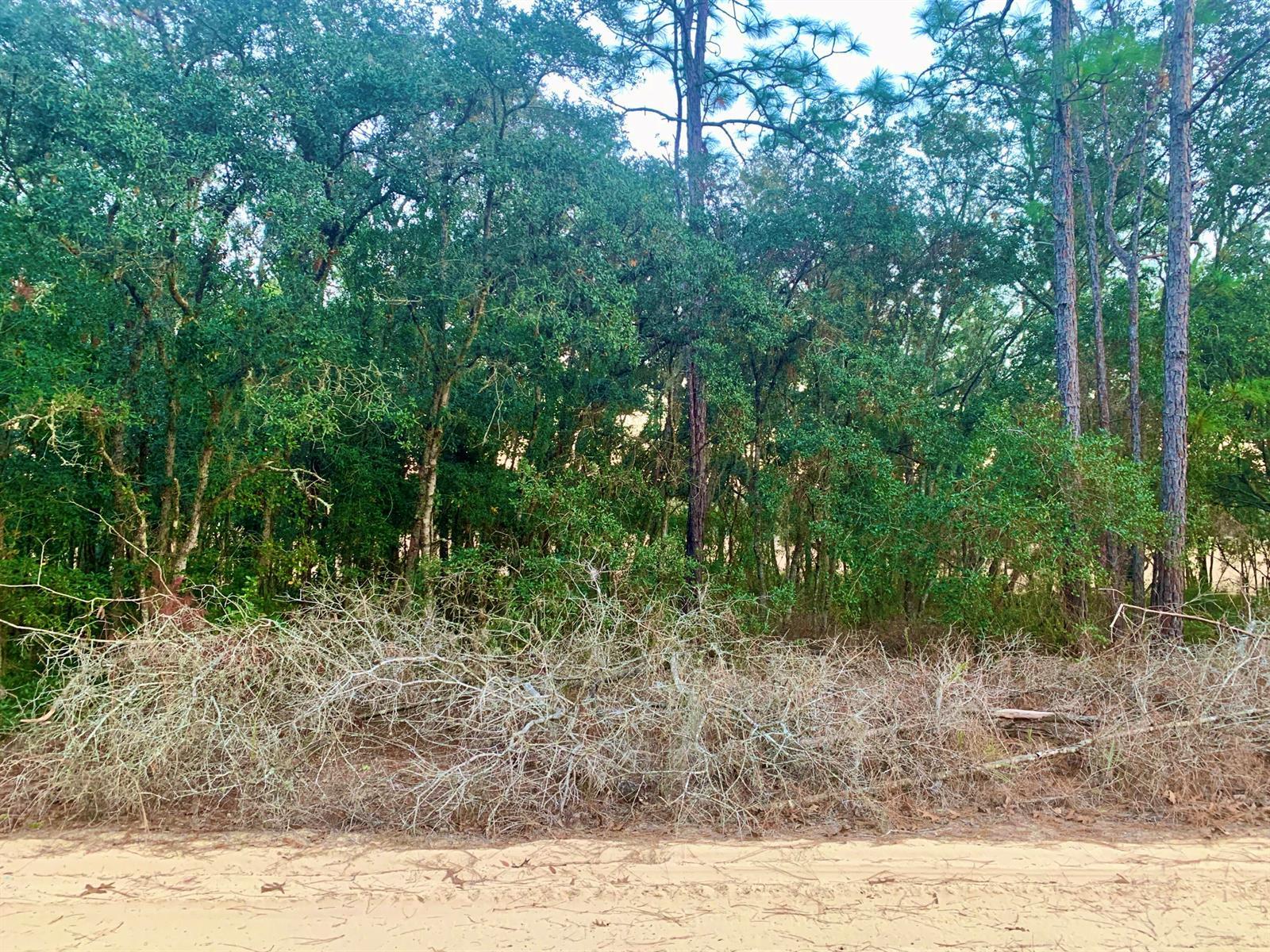 301 S Crestview Avenue, Inverness FL 34452