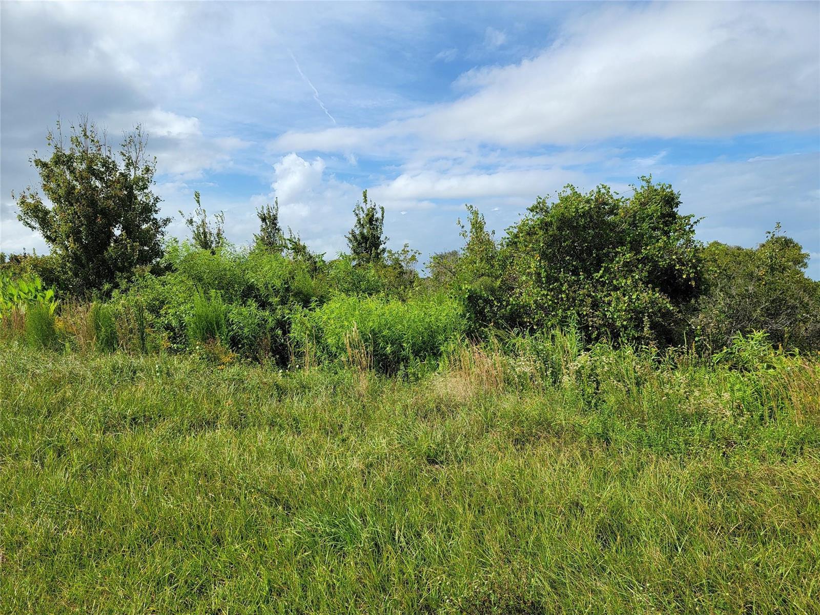 17275 NW 260th Street, Okeechobee FL 34972 photo 3