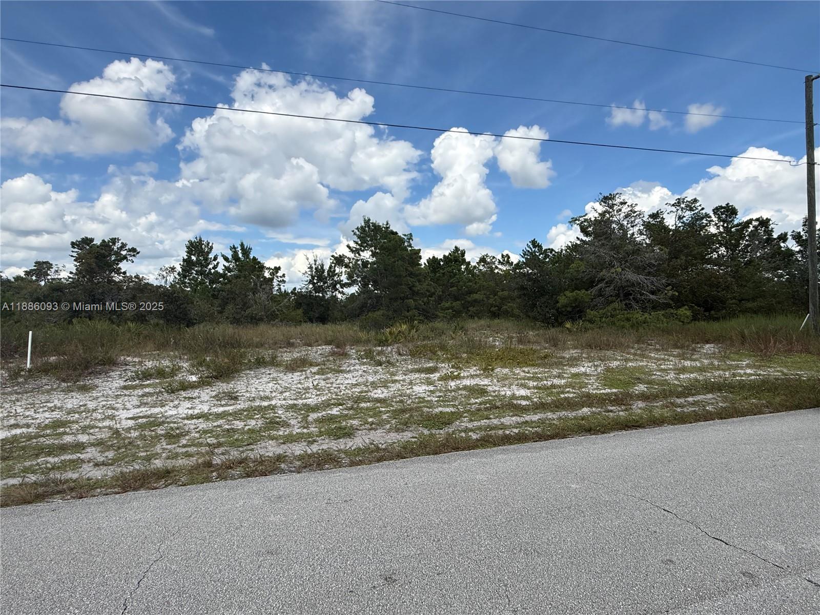 624 NE Aleutian ST, Lake Placid FL 33852 photo 5