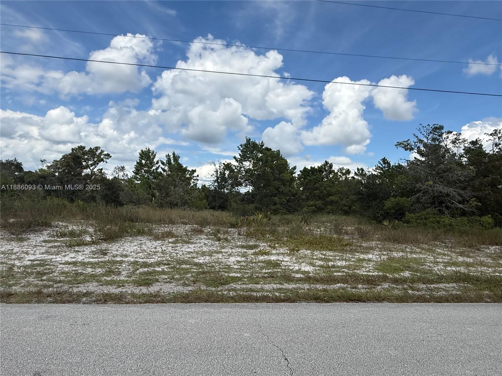 624 NE Aleutian ST, Lake Placid FL 33852 photo 4
