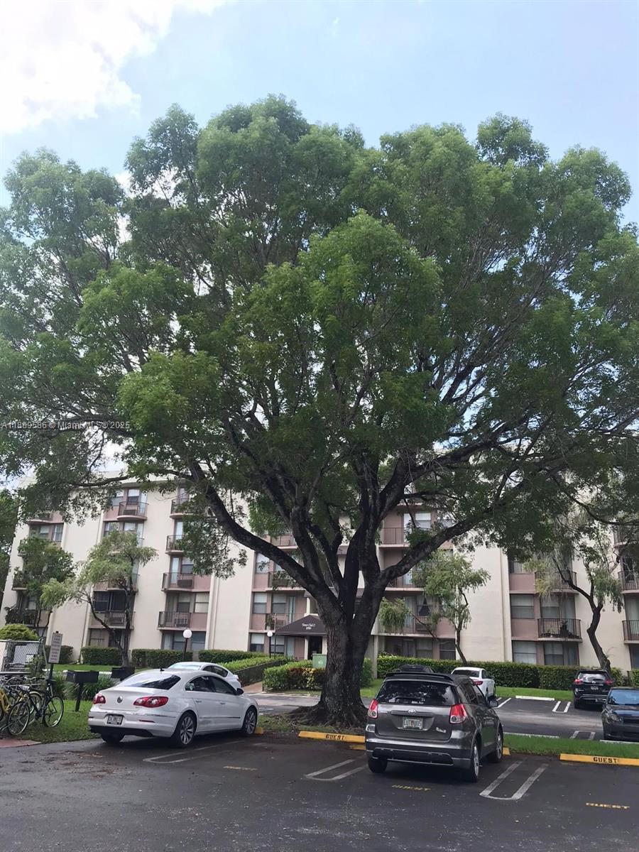 2701 Riverside Dr # B, Coral Springs FL 33065 photo 2