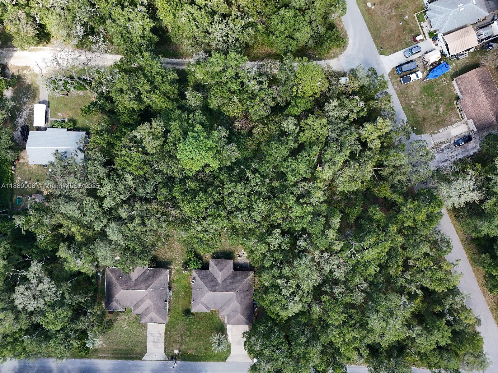 3578 E LOU LANE, Inverness FL 34453 photo 5