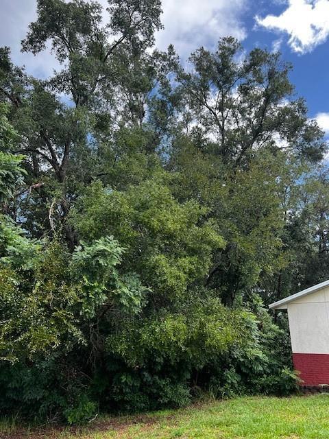 000 Silver Course Loop, Ocala FL 34472 photo 3