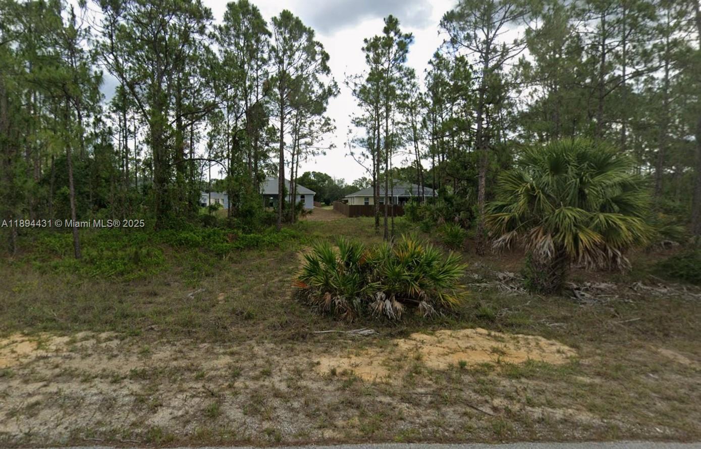 2812 49th W, Lehigh Acres FL 33971 photo 3