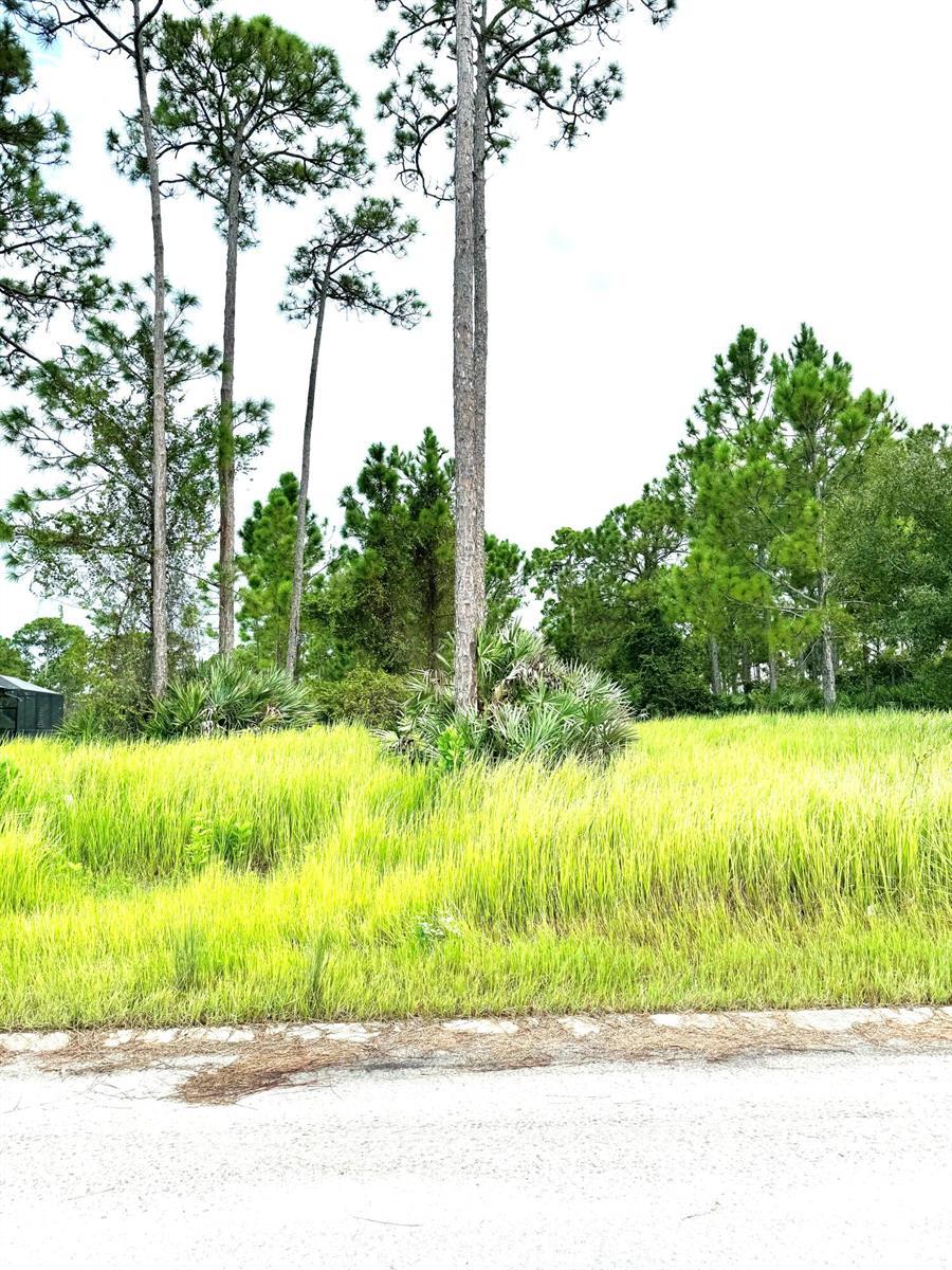 10615 Sugar Pine Drive, Fort Pierce FL 34945 photo 4