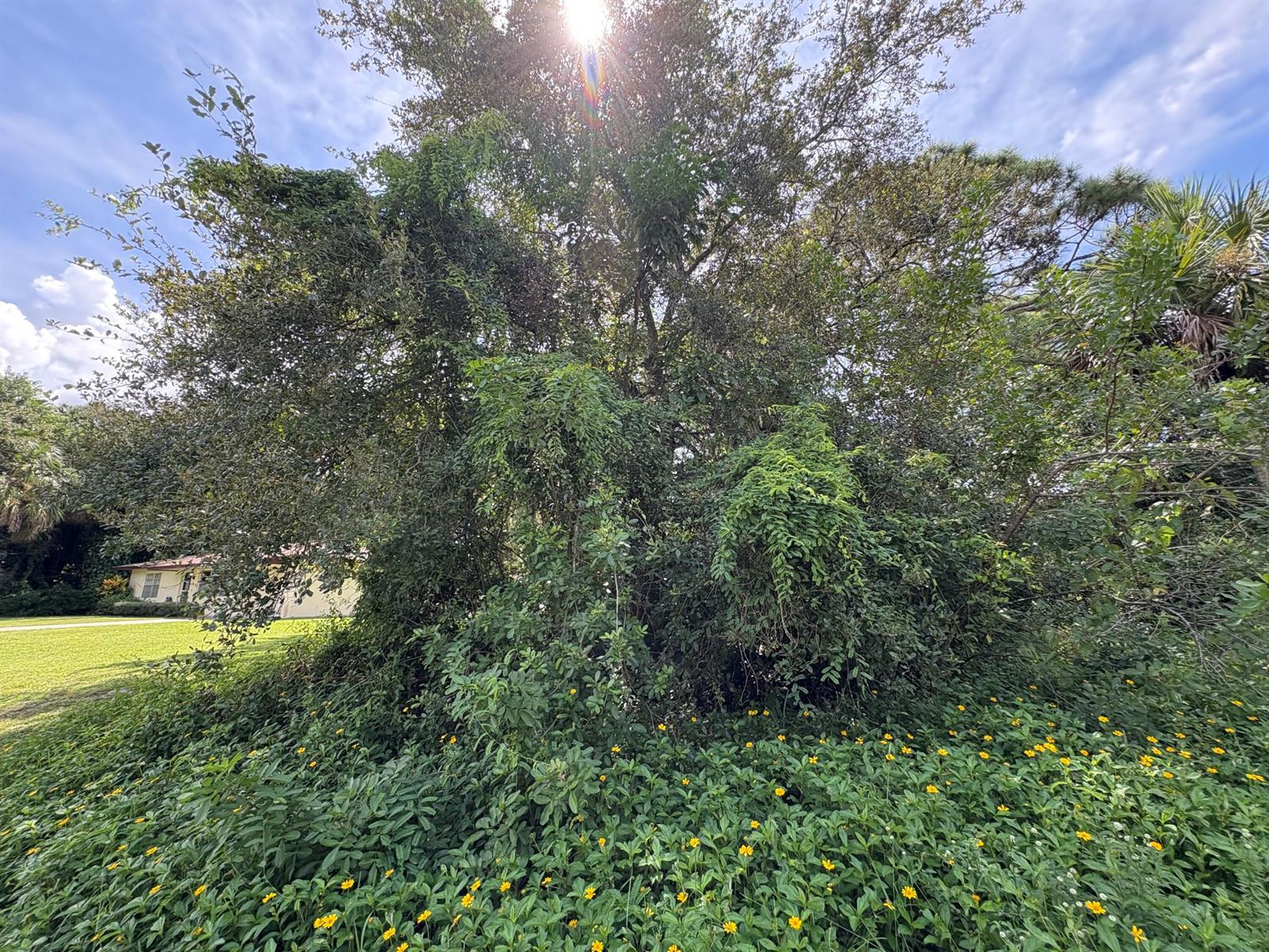 Santa Clar Santa Clara Boulevard, Port St. Lucie FL 34951 photo 2