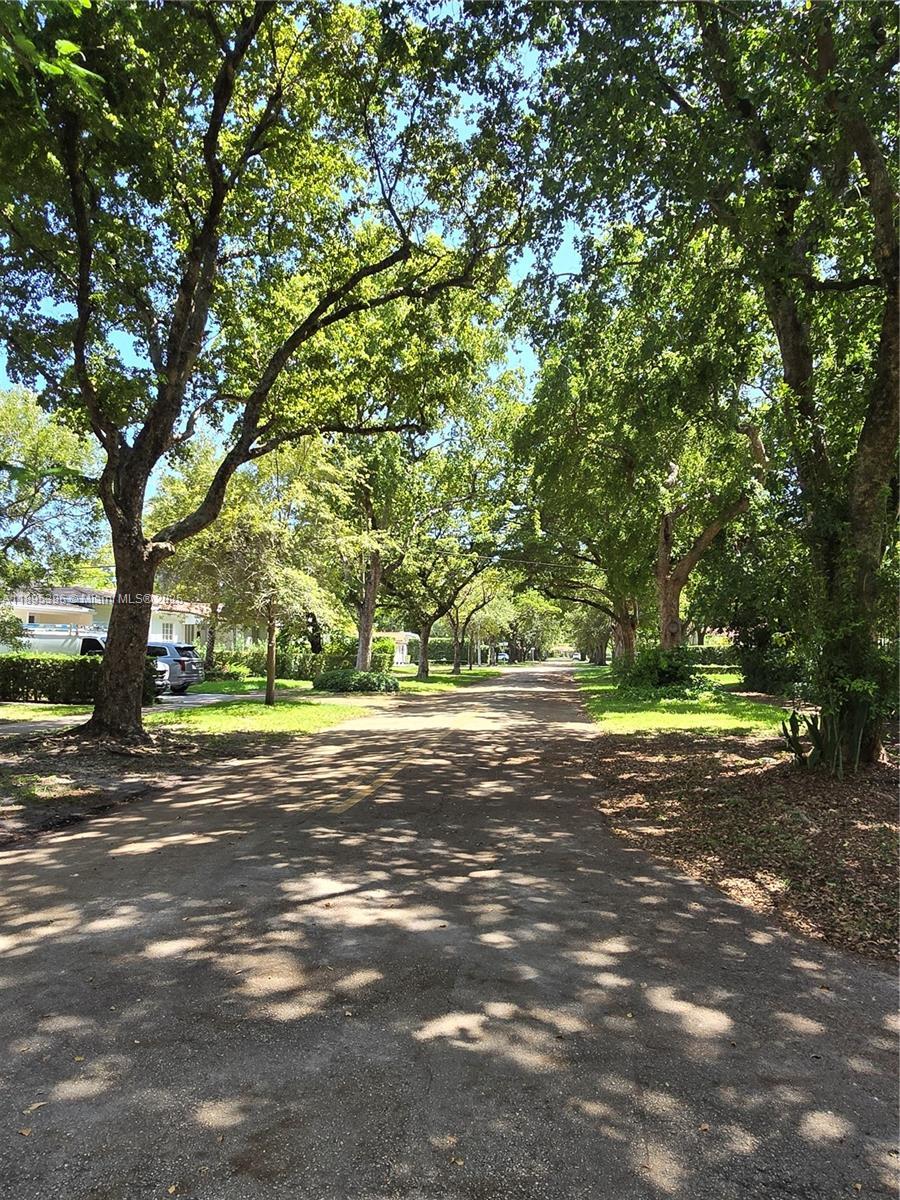 103 Romano Ave, Coral Gables FL 33134 photo 3